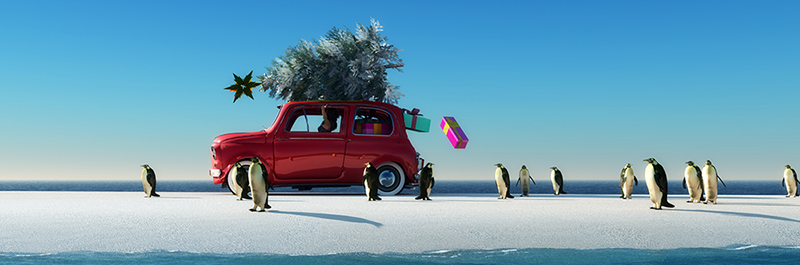 Tannenbaum und Geschenke auf einem roten Auto bei dem Pinguinen