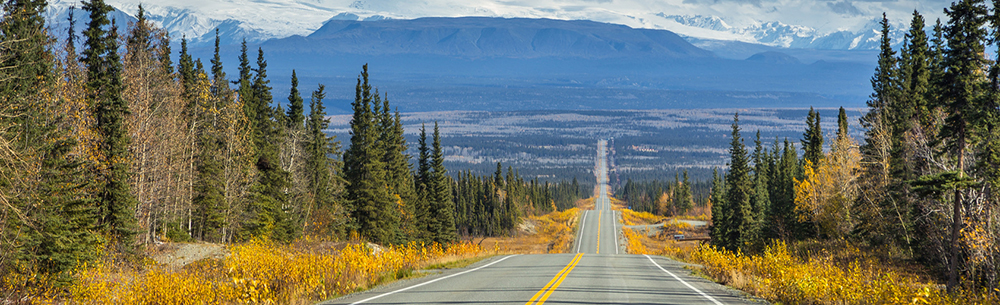 Eine Straße führt durch den Indian summer